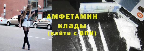 шишки Елизово