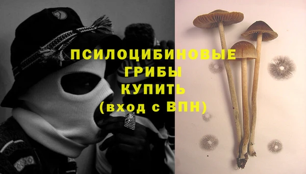 шишки Елизово