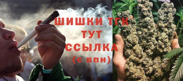 шишки Елизово