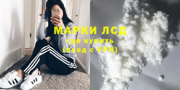 шишки Елизово