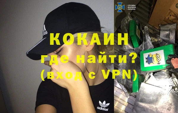 шишки Елизово